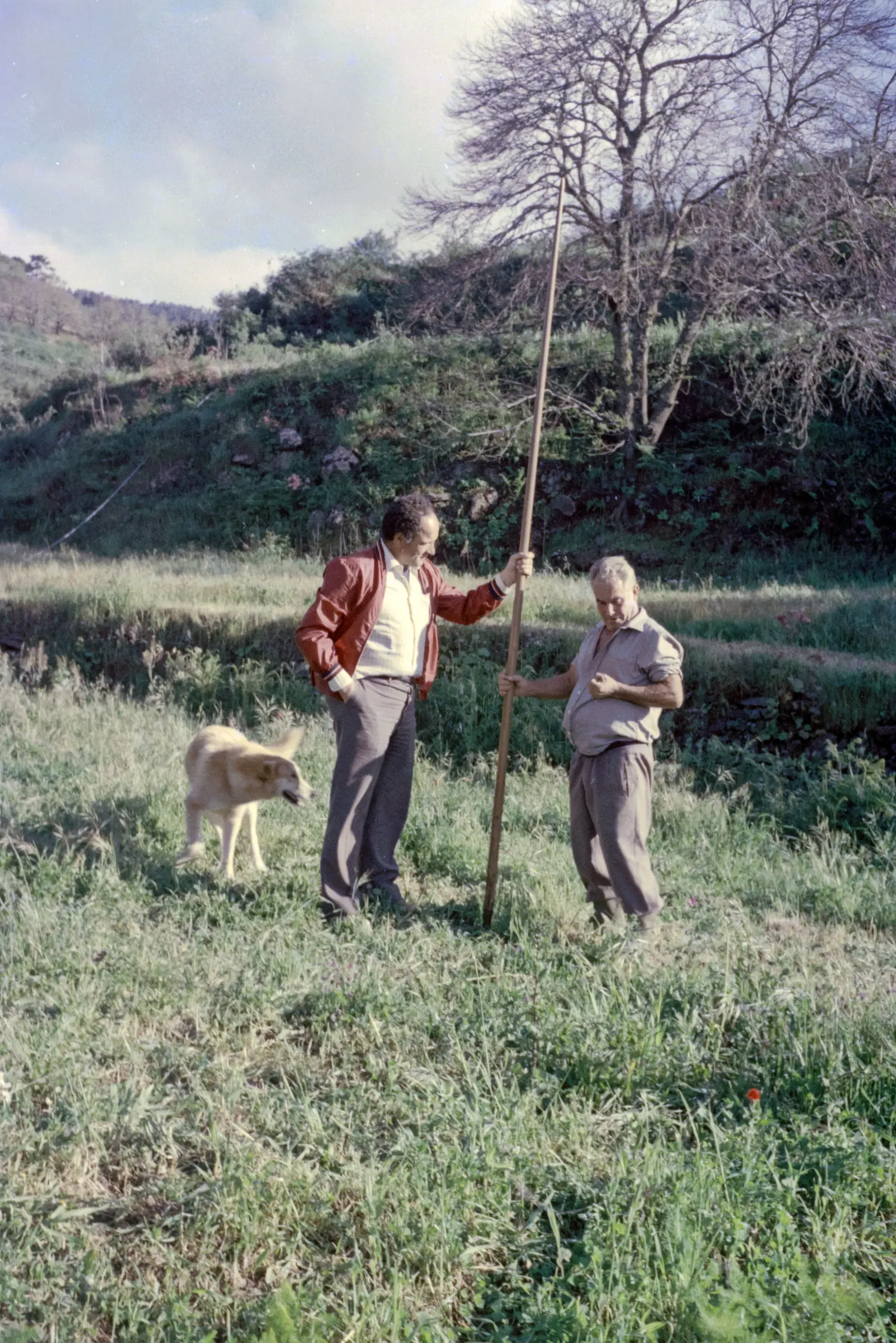 Lansas en Hoya grande.